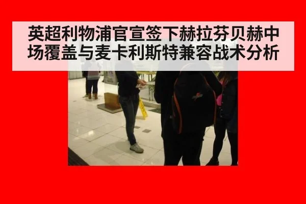 英超利物浦官宣签下赫拉芬贝赫中场覆盖与麦卡利斯特兼容战术分析