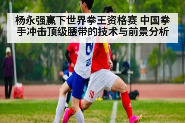 杨永强赢下世界拳王资格赛 中国拳手冲击顶级腰带的技术与前景分析